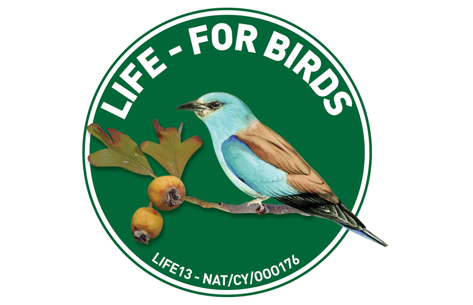 LIFE - FOR BIRDS